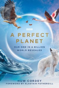  Идеальная планета  смотреть онлайн